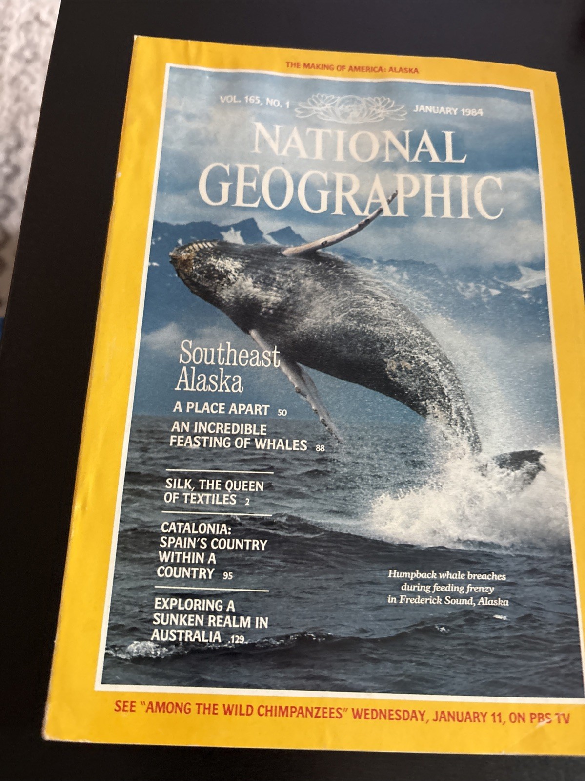 1984 National Geographic Magazine Jan,Feb,March,April,May,June,Oct,Nov,Dec 1984 National Geographic Magazine Jan,Feb,March,April,May,June,Oct,Nov,Dec
