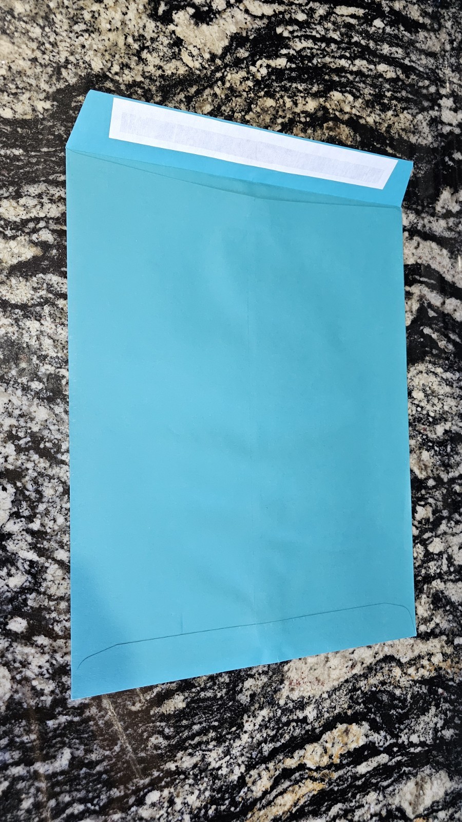 LUX Colors Teal 10x13 Self Seal Envelopes 500 Count LUX Colors Teal 10x13 Self Seal Envelopes 500 Count