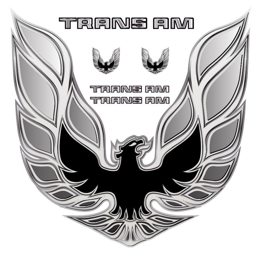 Firebird Trans AM Vintage Retro American Muscle Car Vinyl Sticker Decal Hood Firebird Trans AM Vintage Retro American Muscle Car Vinyl Sticker Decal Hood