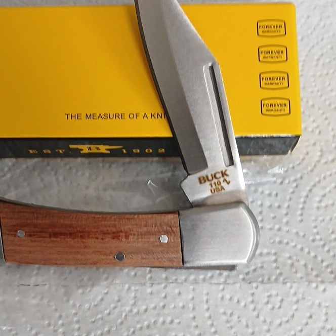 Buck 110 Folding Hunter Lockback Pocketknife Stainless Clip Plain Wood Handle