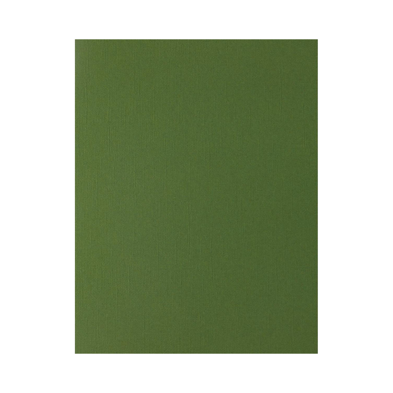Cdstk Muslin 8.5x11 74lb 1000pc Box Rain Forest