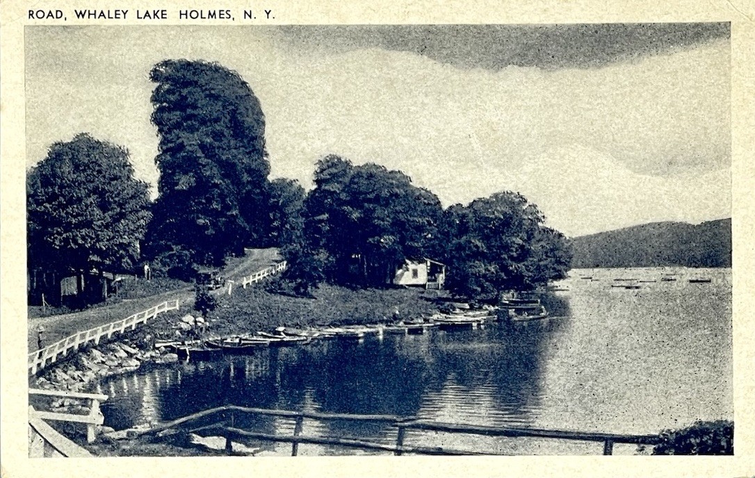 HOLMES New York - A Road Along Whaley Lake Antique Early 1900s Postcard