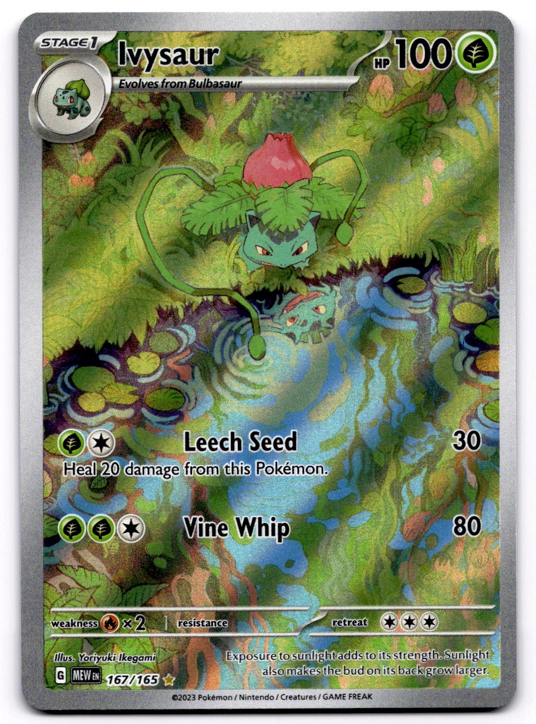 Ivysaur 167/165 SV Scarlet & Violet 151 Illustration Rare Pokemon Card - NM Ivysaur 167/165 SV Scarlet & Violet 151 Illustration Rare Pokemon Card - NM