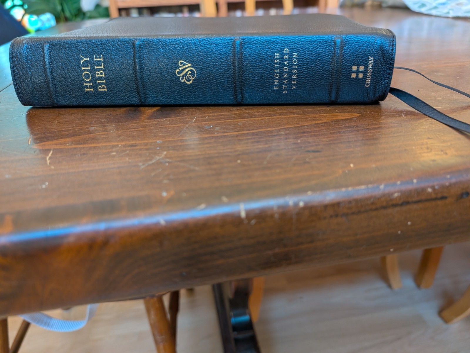 ESV Preaching Bible, Verse-By-Verse Edition (Goatskin, Black)