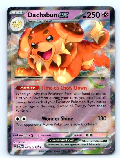 TCG ~ Dachsbun ex 067/142 ~ English Near Mint