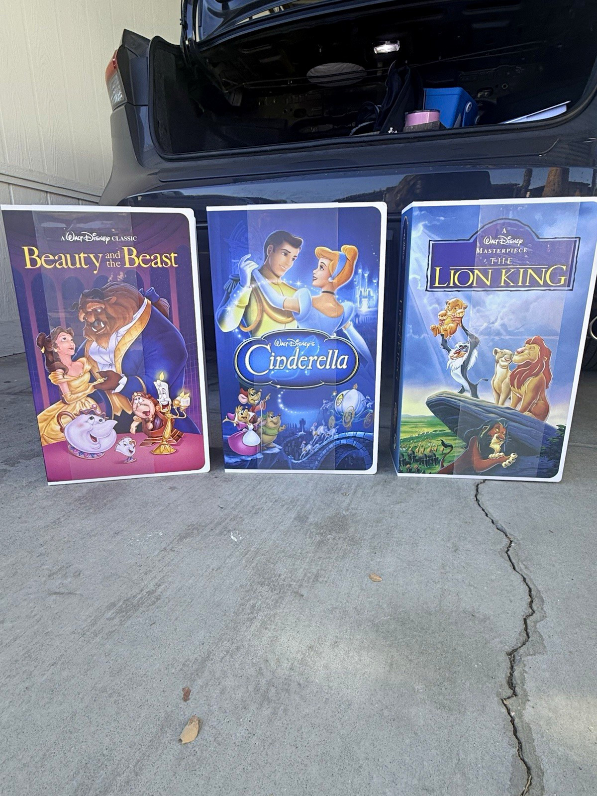 Walt Disney New Viral Disney Throw Blankets. VHS Box.