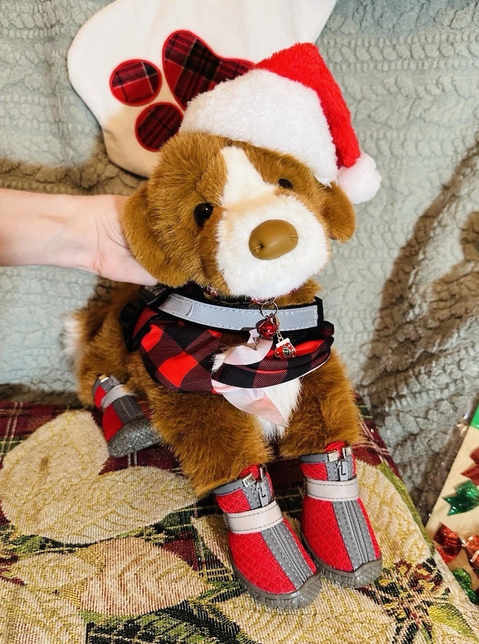 New Rush Duck Tolling Retriever Douglas Cuddle Essa Dog & Gear [CHRISTMAS]