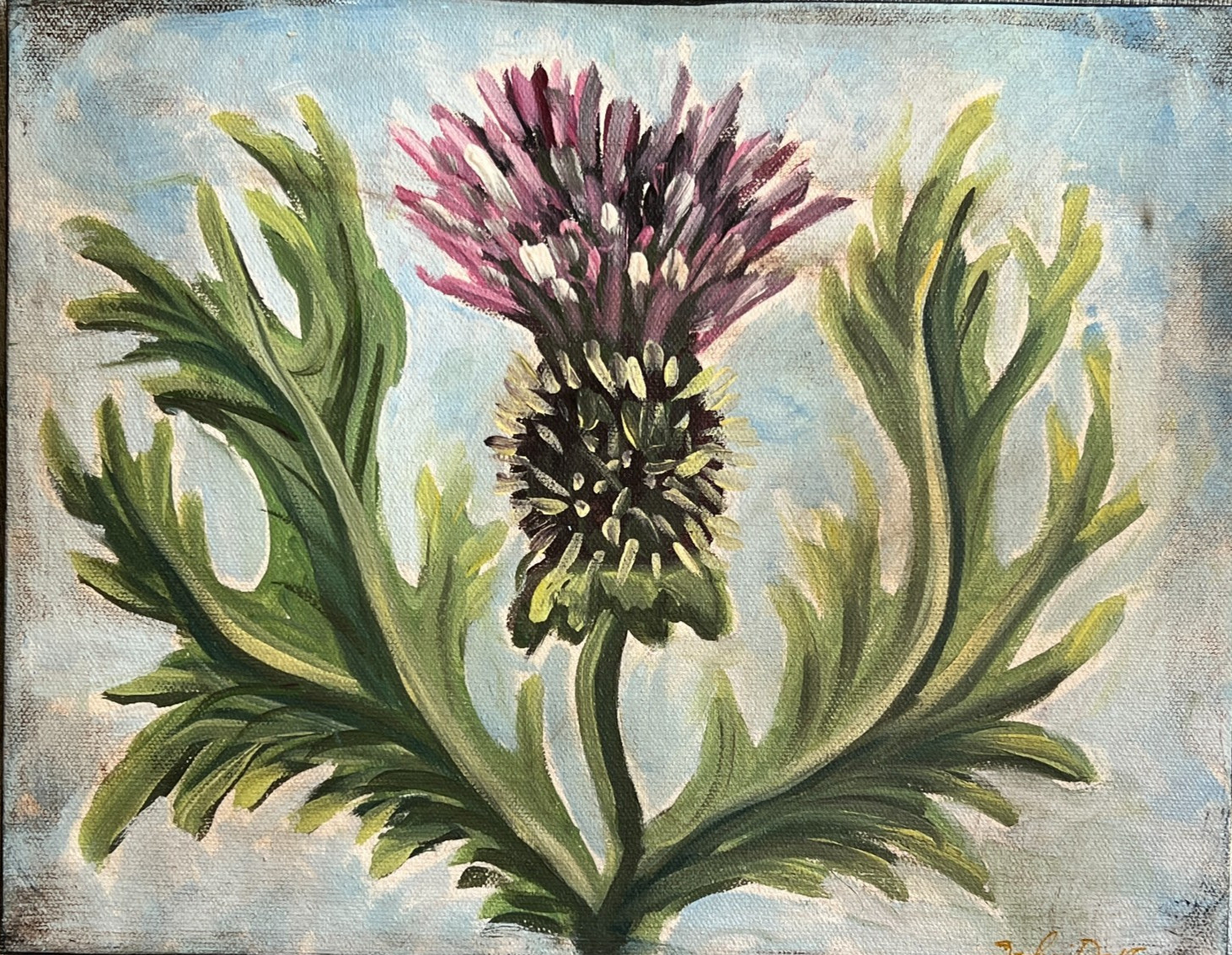 Sophie Dare, Original Art, 11X14 Acrylic canvas Outlander Scottish Thistle 1