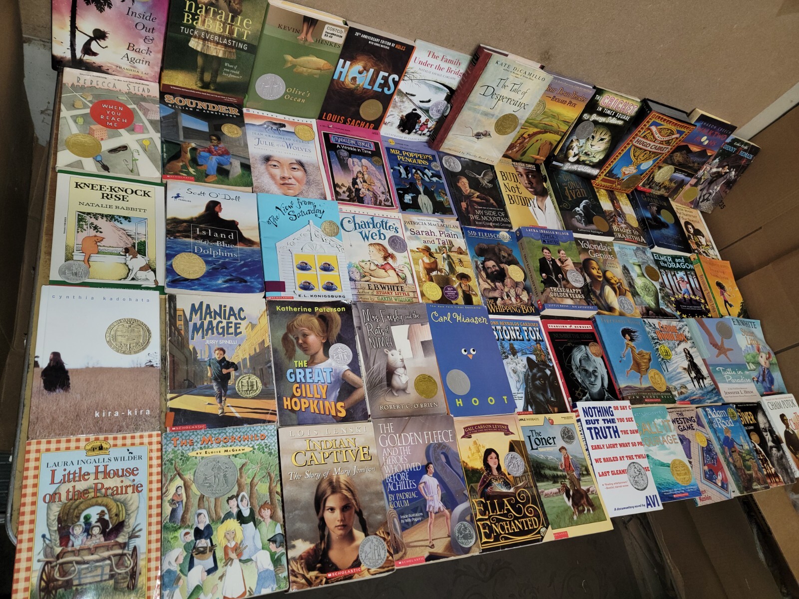Lot of 15 Newbery Honor Award Winning Chapter Children Kid Books AR *RANDOM MIX Lot of 15 Newbery Honor Award Winning Chapter Children Kid Books AR *RANDOM MIX