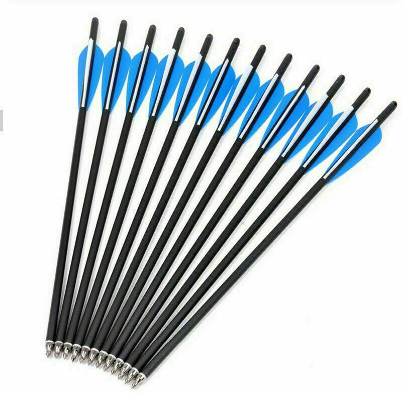 USA 12Pcs 20\