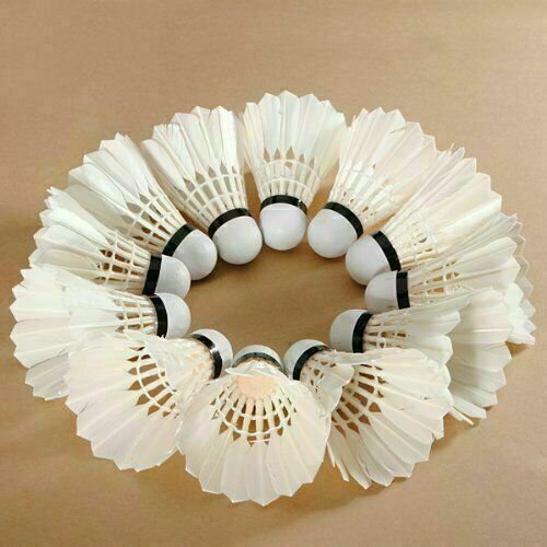 12 PCS White Feather Birdies Badminton Ball Shuttlecocks Sport Training Train