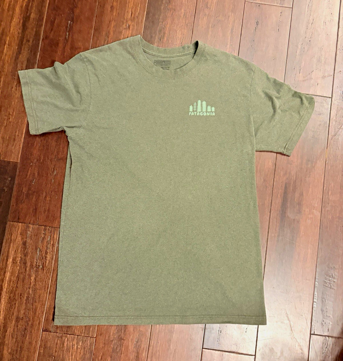 Patagonia Men’s M Green Short Sleeve Crew Neck Graphic Logo Jersey T-Shirt