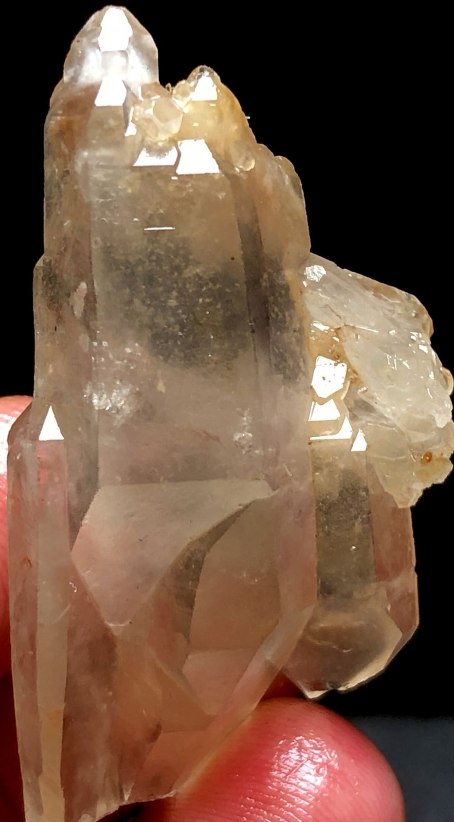 19g Himalayan RARE RAW Natural Lemurian Quartz Lemuria Crystal Point  t778