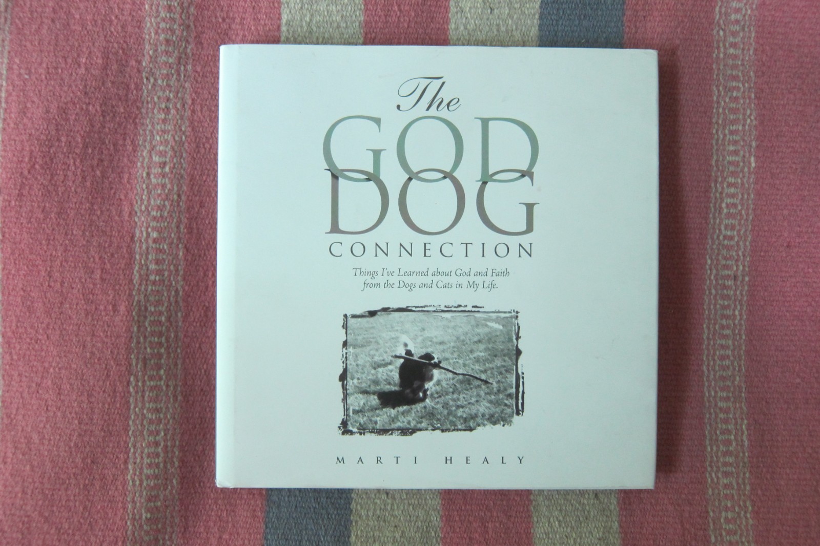 Signed Copy~Faith Based For Dog Lovers The God Dog Connection Marti Healy HC/DJ
