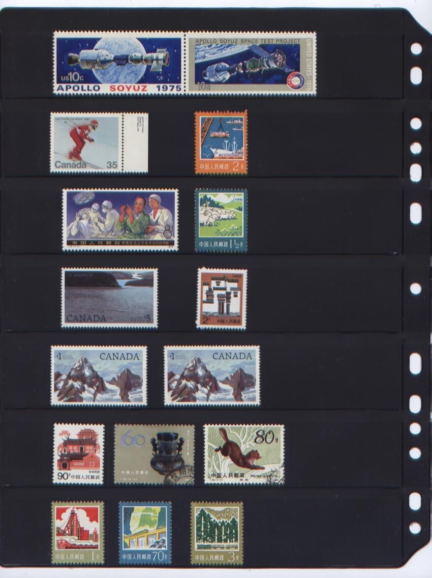 ANCHOR 100 New Stock Pages 7S (7-Rows) Stock Sheets/ Black sheets/FREE SHIPPING.