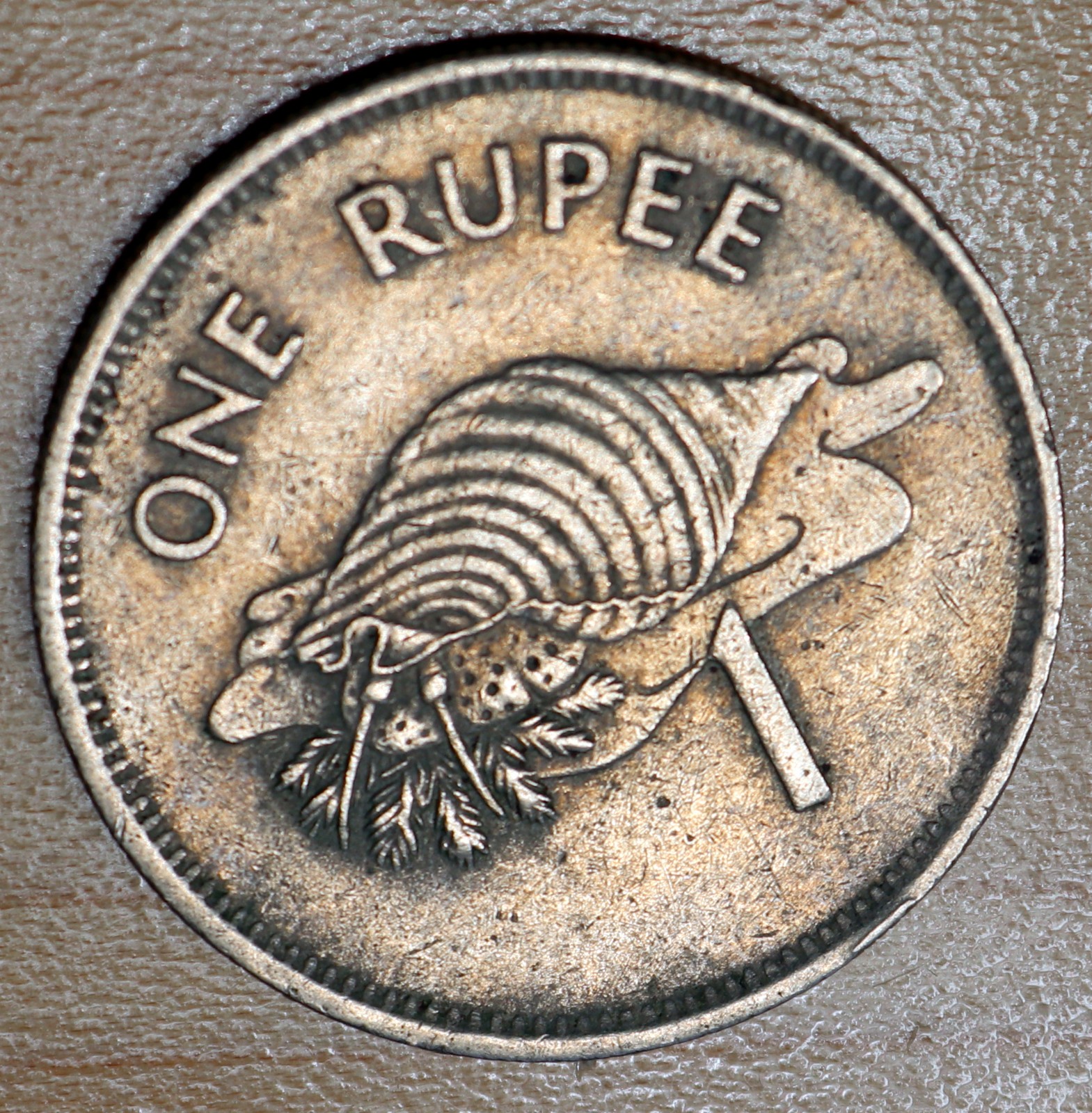 1982 Seychelles 1 Rupee Triton Conch Shell 1982 Seychelles 1 Rupee Triton Conch Shell