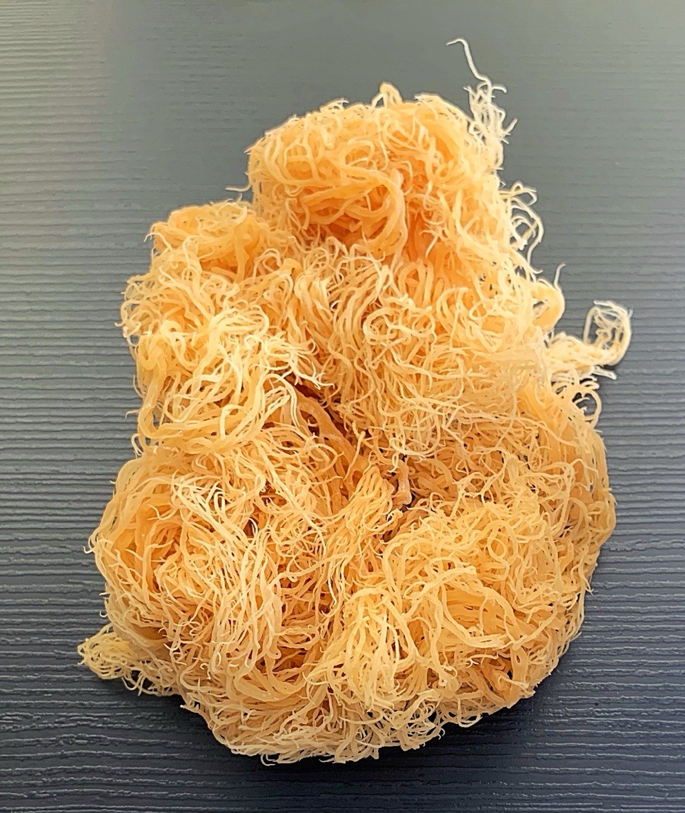 Caribbean Whole Leaf Raw Sea Moss 4 Oz | Raw Wild Crafted Superfood