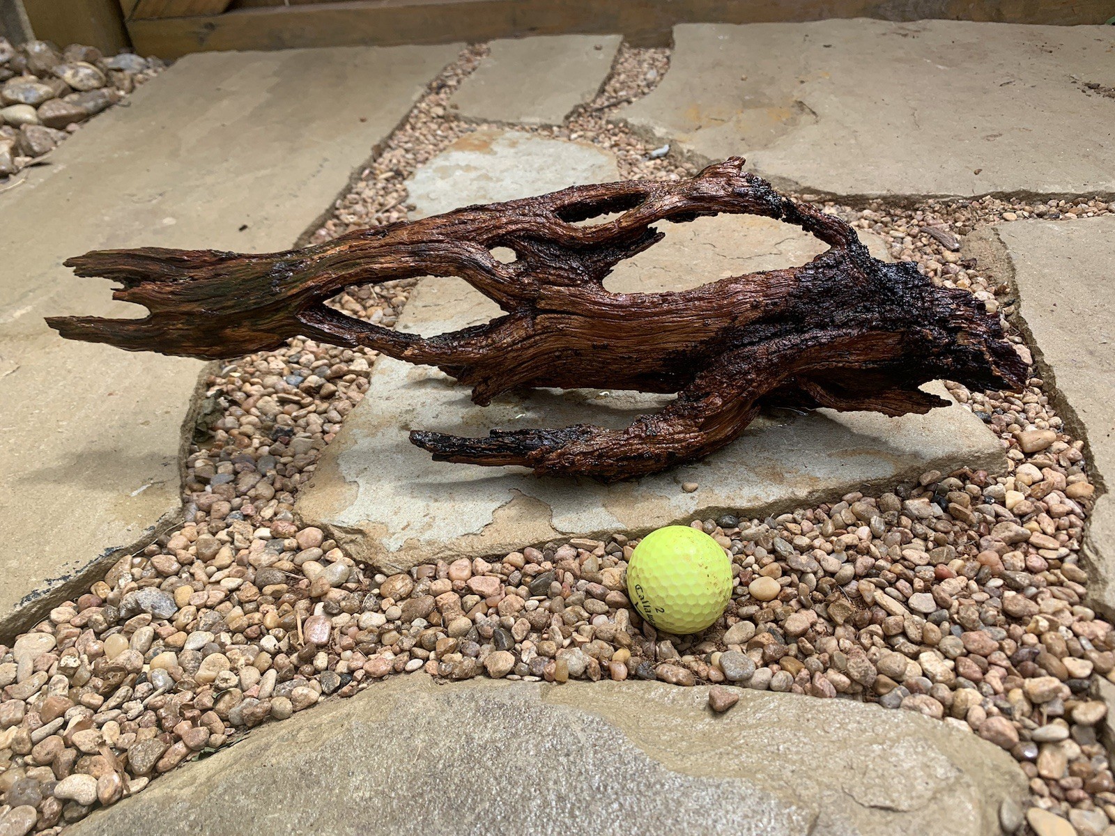 Natural Sinking Driftwood
