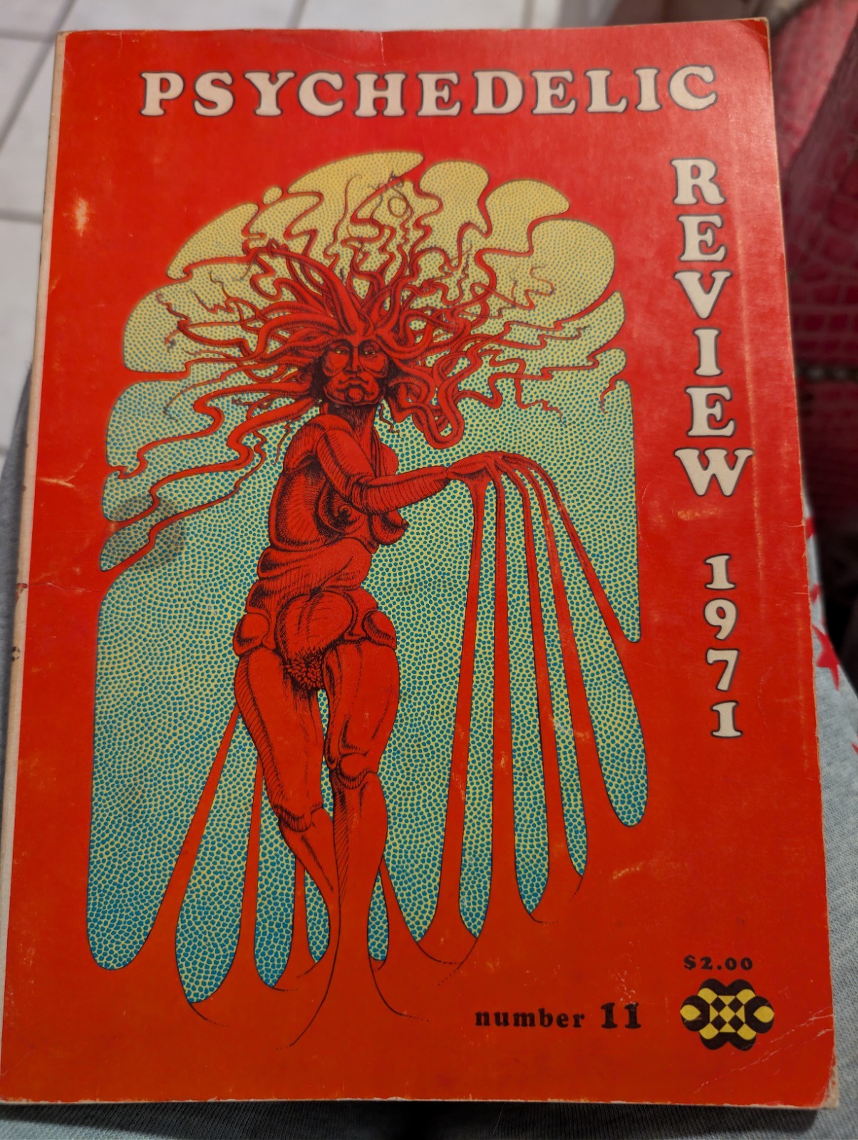 The Psychedelic Review 1971 #11