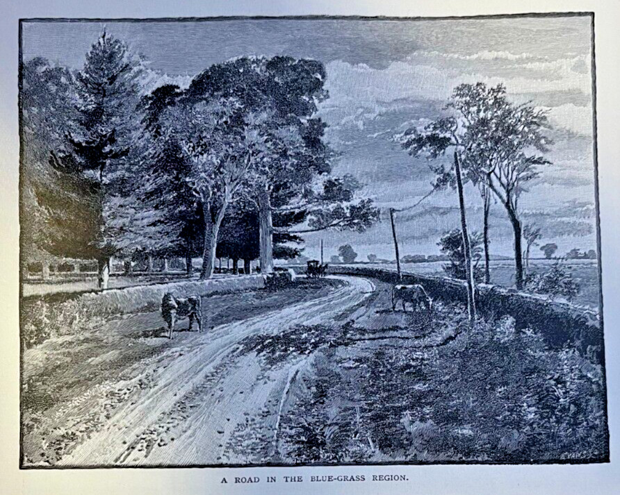 1890 Kentucky Blue Grass Lincoln County Frankfort Lexington 1890 Kentucky Blue Grass Lincoln County Frankfort Lexington