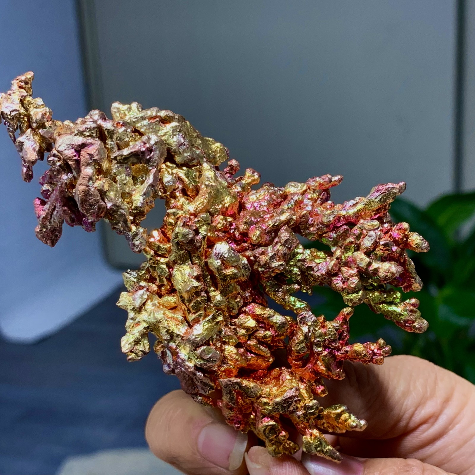 198G Rare iridescent Native Copper crystal mineral specimen