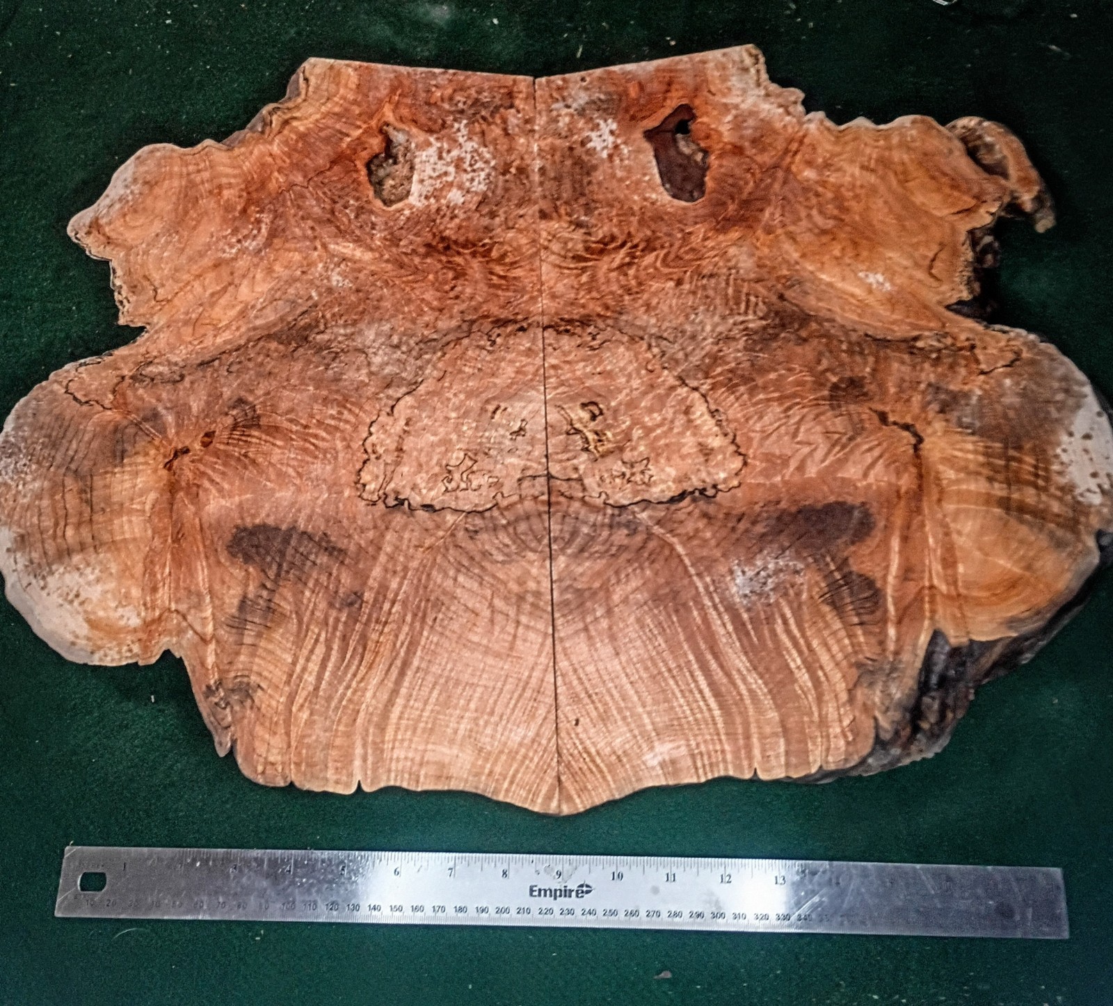 Bookmatched Maple Burl Slabs 16 x 11 x 7/8 Highly Figured Spalted Live Edge