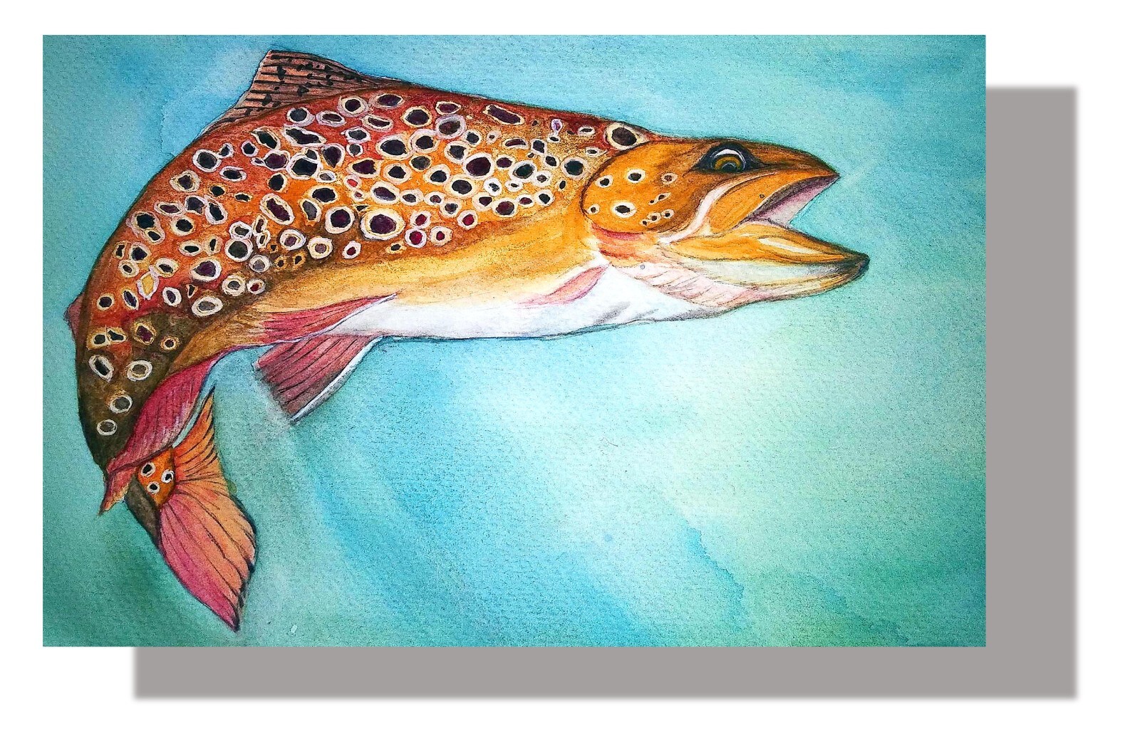 Brown Trout Art Print on Canvas by Kathleen Wendt 11