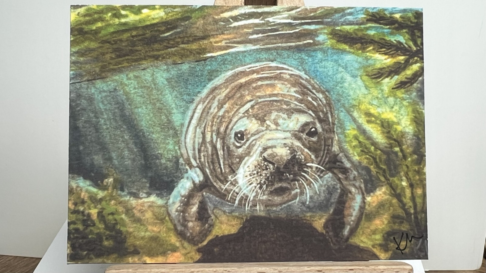 ACEO PRINT Manatee \