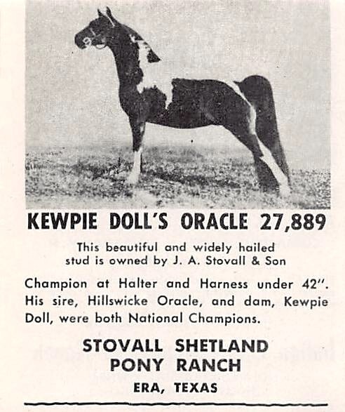 J A Stovall & Son Shetland Pony Ranch Kewpie Doll\'s Oracle Era TX Vtg Print Ad