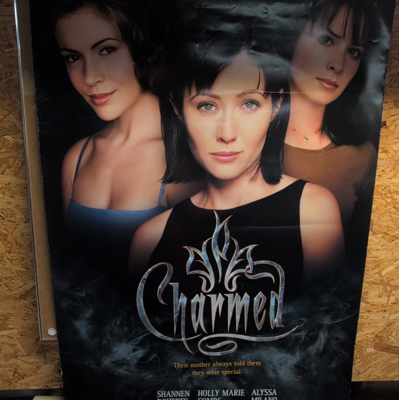Charmed TV Show Poster Original WB Promo Featuring Alyssa Milano & Rose McGowan Charmed TV Show Poster Original WB Promo Featuring Alyssa Milano & Rose McGowan