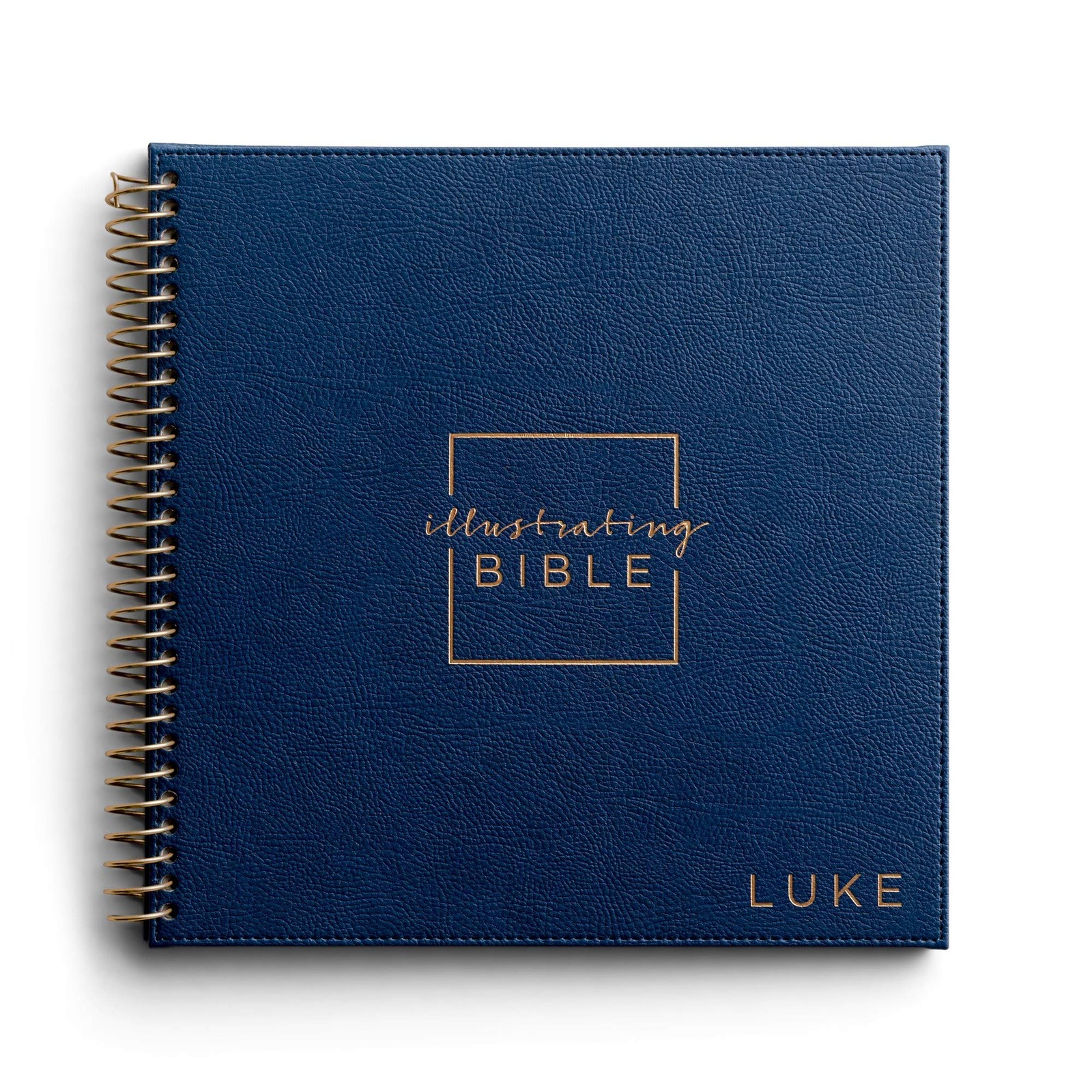 DaySpring NIV Illustrating Bible: Book of Luke DaySpring NIV Illustrating Bible: Book of Luke