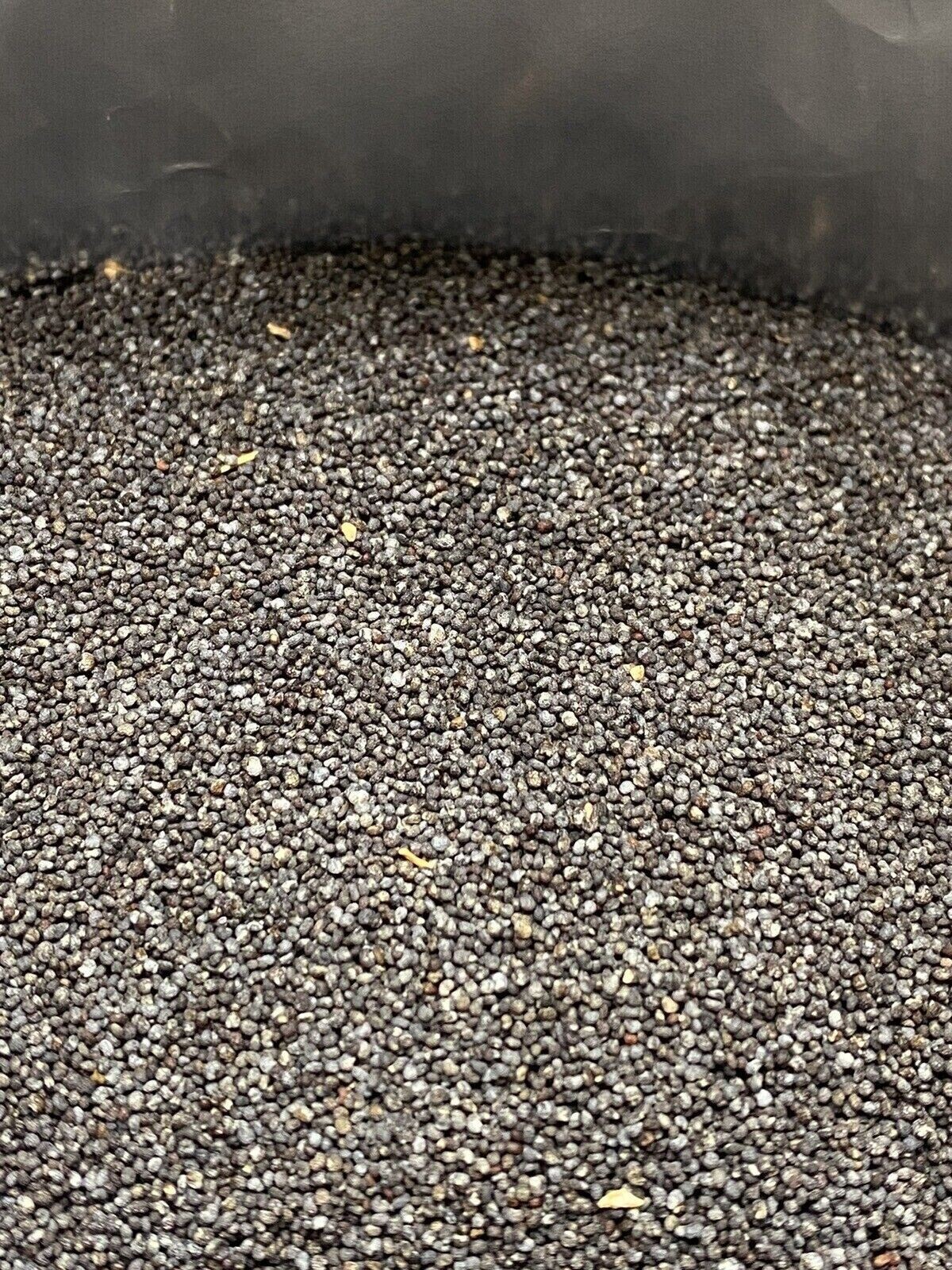Poppy Seeds 3lb UK Papaver Som High Quality SHIPS FREE 2026 HARVEST Poppy Seeds 3lb UK Papaver Som High Quality SHIPS FREE 2026 HARVEST