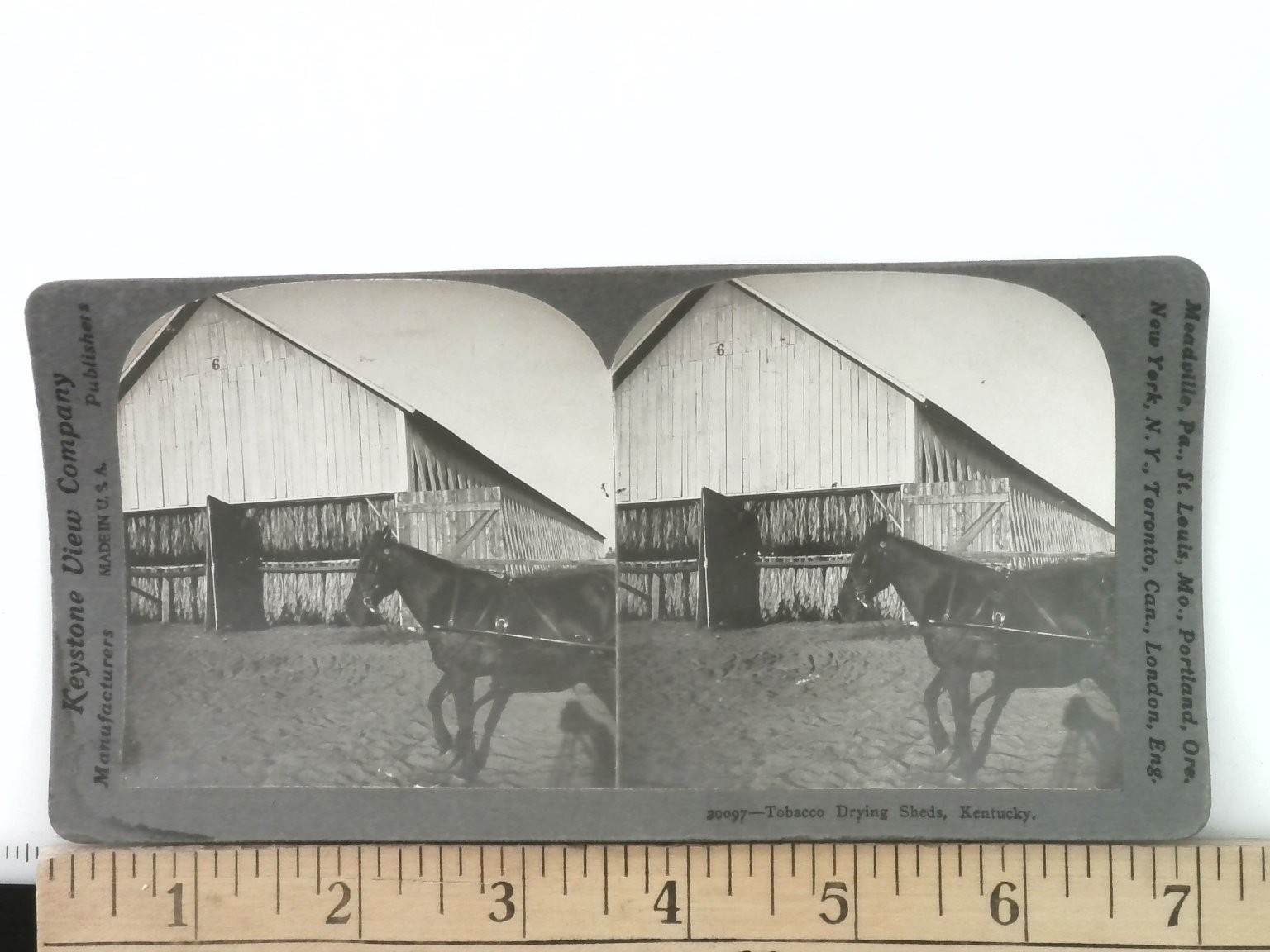 Tobacco Drying Sheds Kentucky Stereoview Keystone View Co. 1906 Agriculture