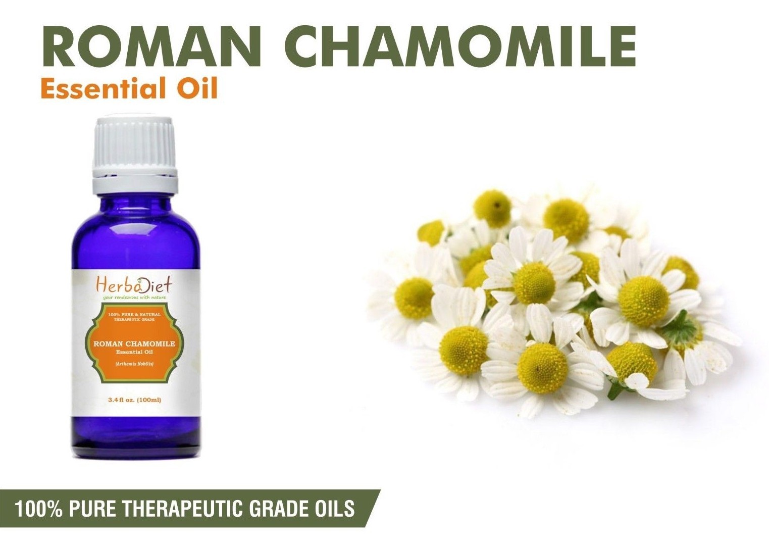 Chamomile Roman Essential Oil Pure Natural Aromatherapy Therapeutic Grade Oils