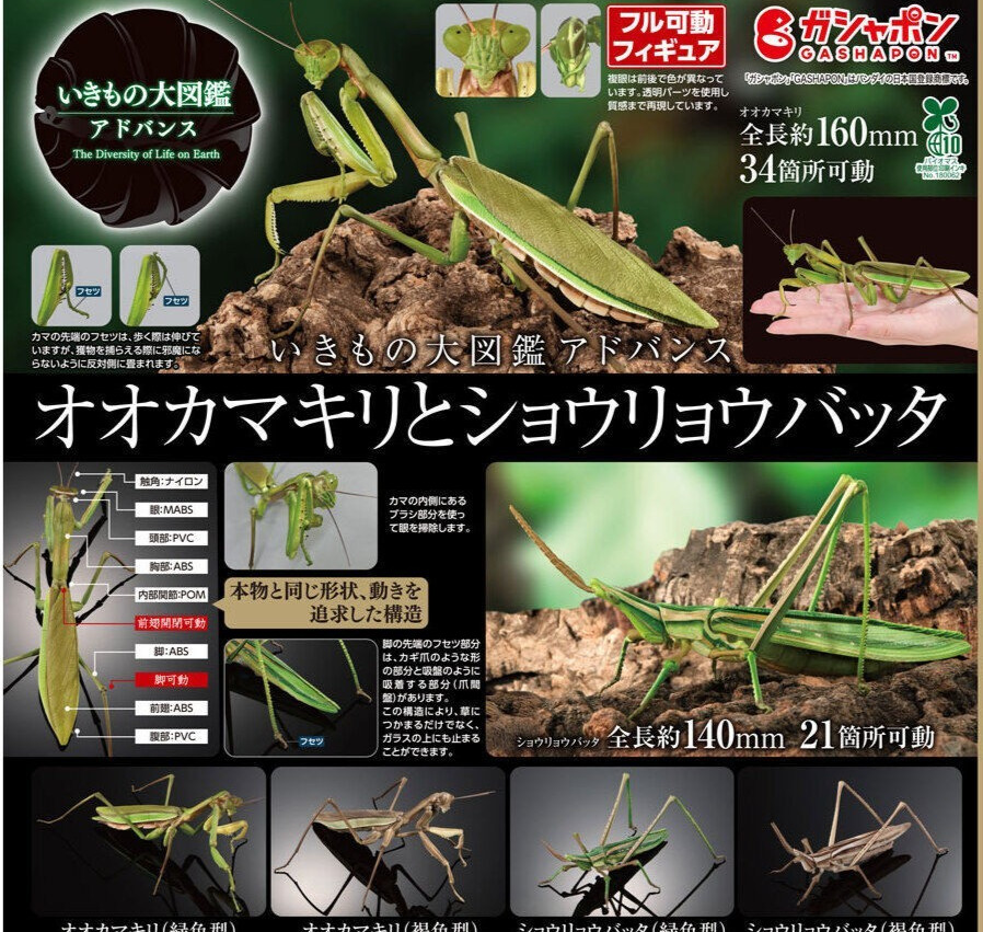 The Diversity of Life on Earth Advance Mantis & Grasshopper Complete Set of 4