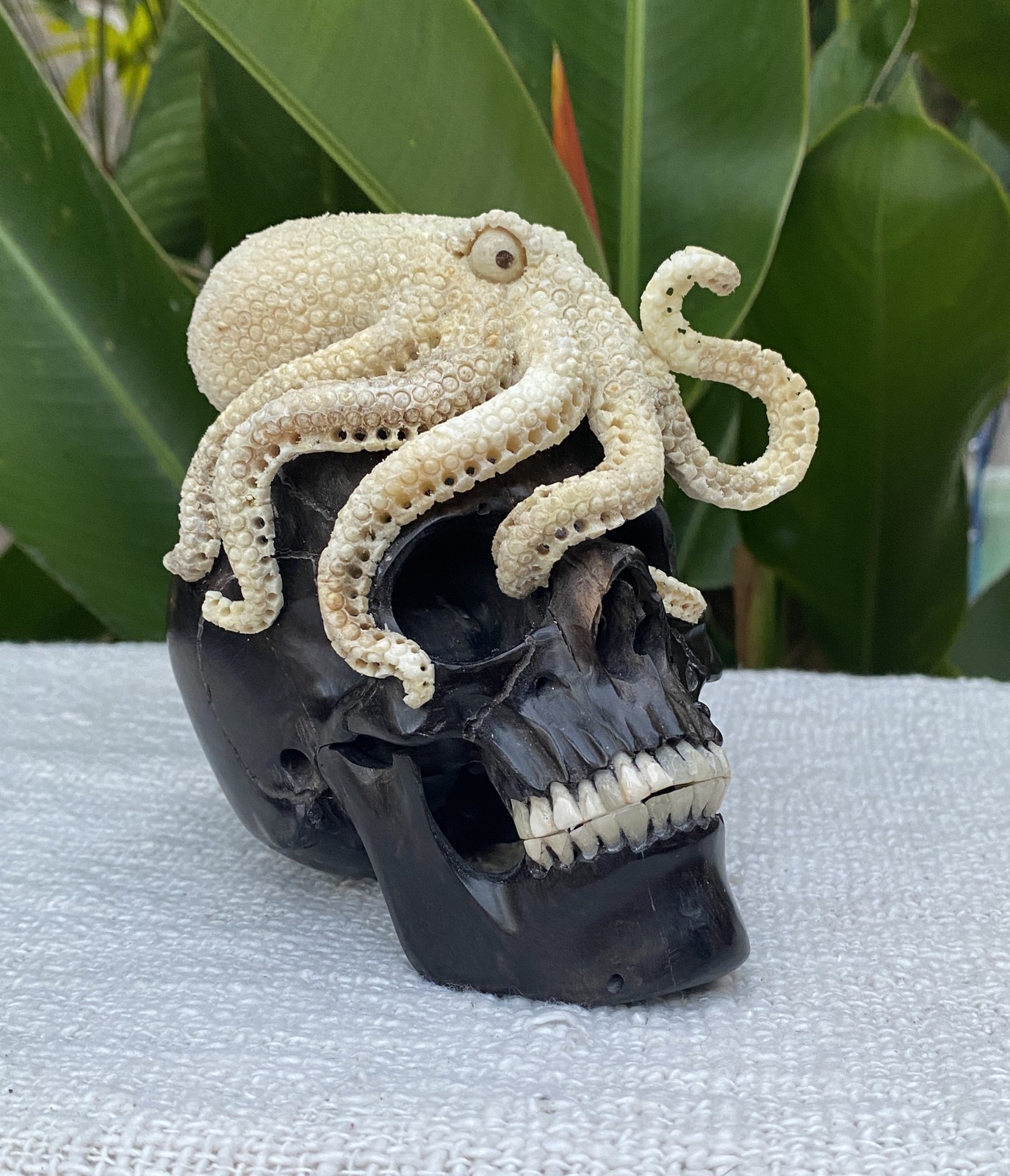 Black Wood Carved Human Skull Sculpture with Octopus Carving made from Antler