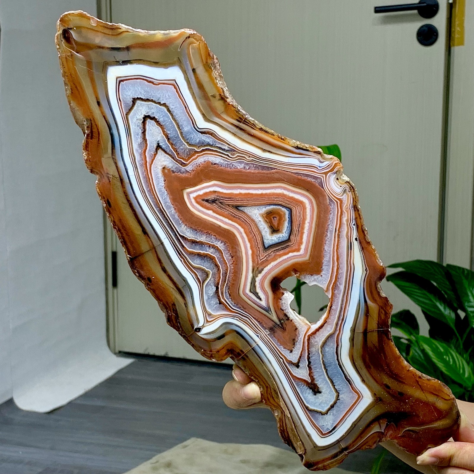 2.62LB Natural orange stripe Agate Druzy Slice Extra Large Gemstone
