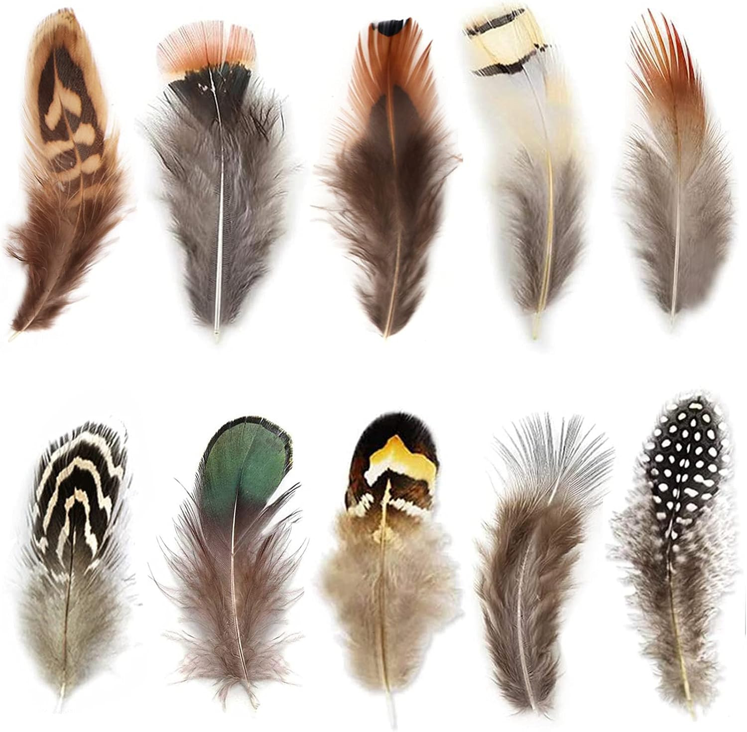 300Pcs 10 Style Natural Feathers Assorted Mixed Feathers for Dream Catcher 300Pcs 10 Style Natural Feathers Assorted Mixed Feathers for Dream Catcher
