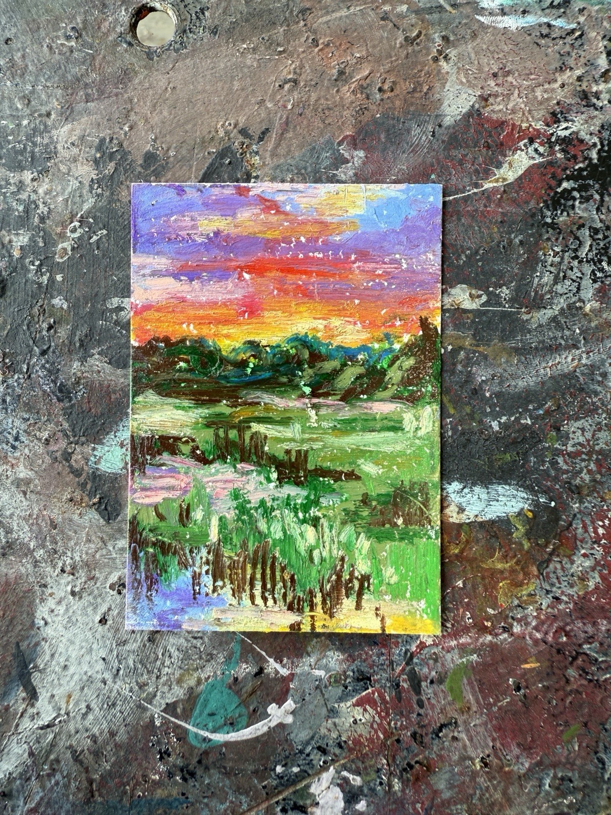 ACEO Original Art 2.5x3.5 in. Oil Pastel Landscape Everglades .saraheliart