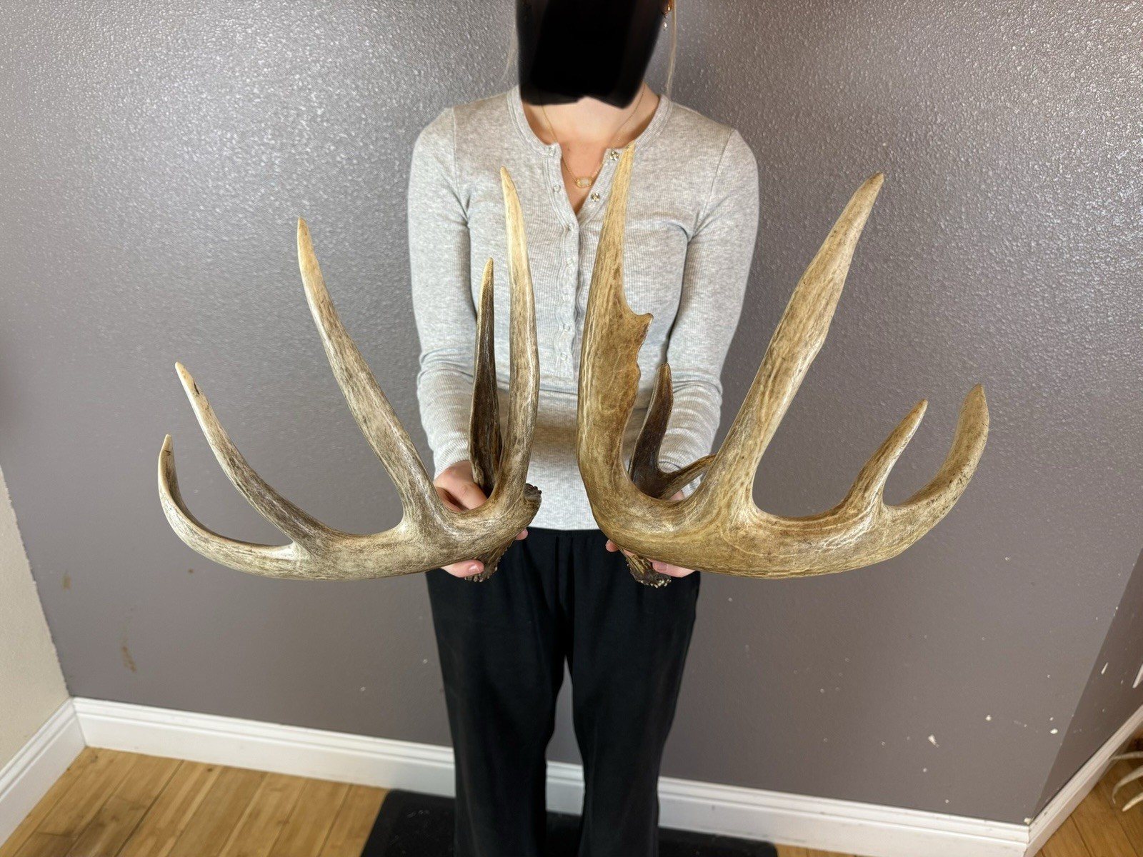 Two 5pt Whitetail Deer Antlers Sheds WILD IDAHO Horns Rustic Decor Rattling Set