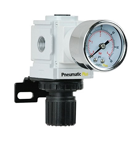 PneumaticPlus PPR2-N02BG-4 Miniature Air Pressure Regulator 1/4\