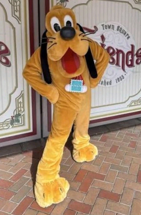 DISNEYLAND PLUTO CHARACTER CAST MEMBER PERFORMER COSTUME FOOT RARE 