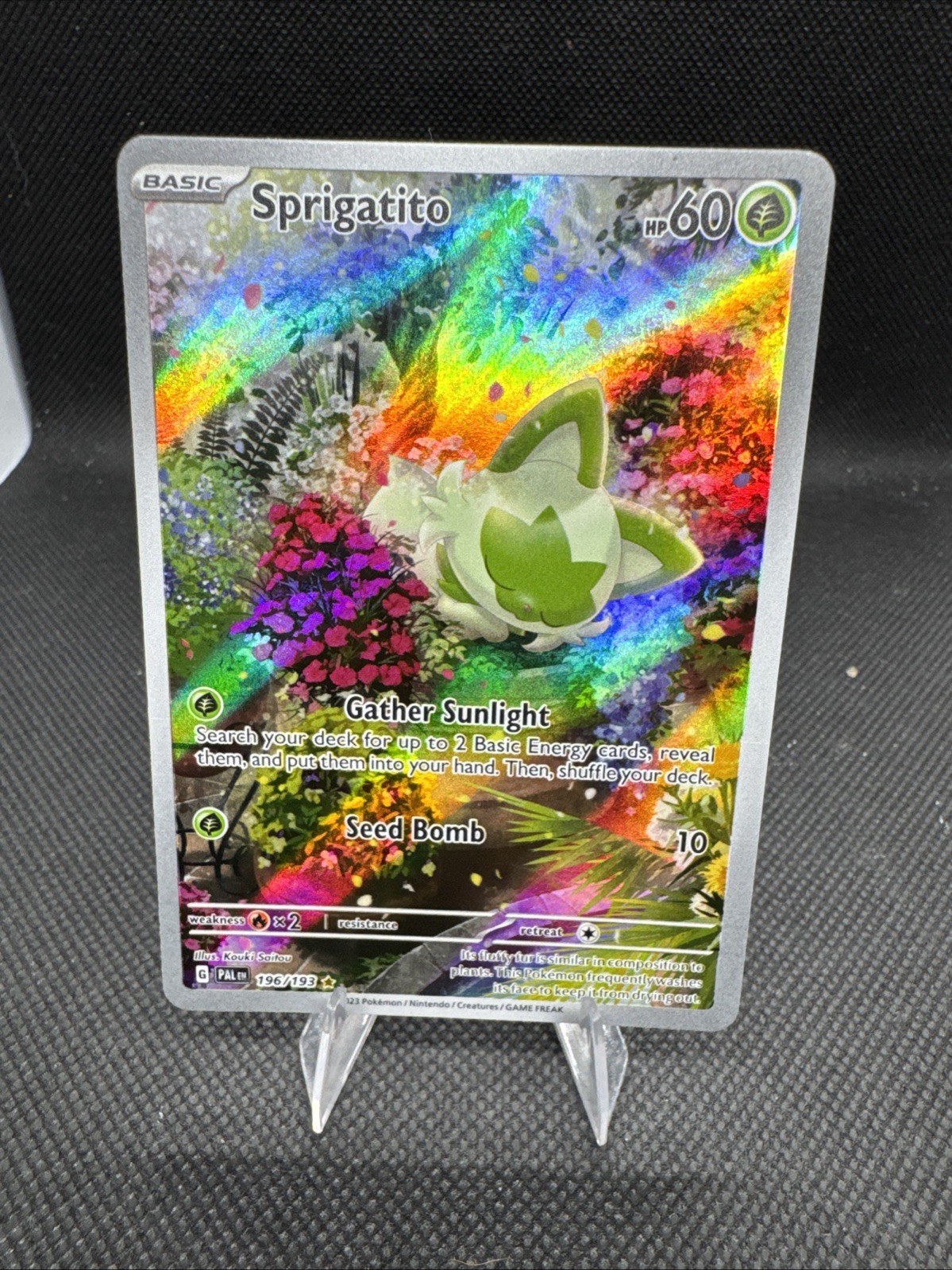 Pokemon TCG Sv02 Paldea Evolved Sprigatito 196/193 IR Holo Eng HP60 2023 Pokemon TCG Sv02 Paldea Evolved Sprigatito 196/193 IR Holo Eng HP60 2023
