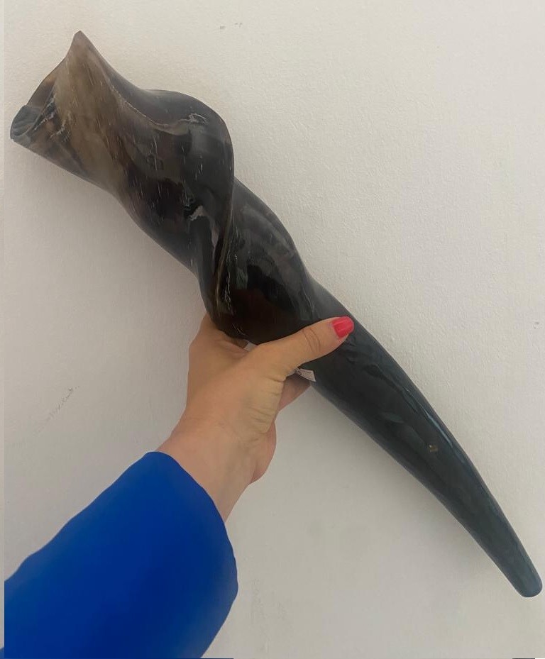 Huge Polished Eland Horn Shofar 20'' (50cm) Kosher From Israel BEST PRICE Huge Polished Eland Horn Shofar 20'' (50cm) Kosher From Israel BEST PRICE