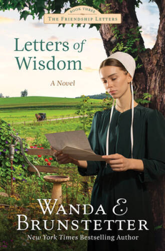 Letters of Wisdom (Friendship Letters, 3) - Paperback - VERY GOOD