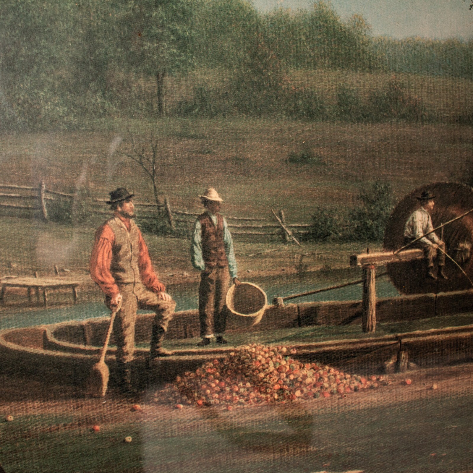 1899's Amish Folks Apple Cider Scene Antique Litho Painting 46.5