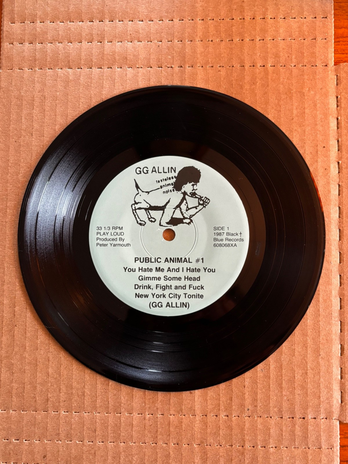 Vintage 1987 GG Allin Public Animal #1 Vinyl 7\