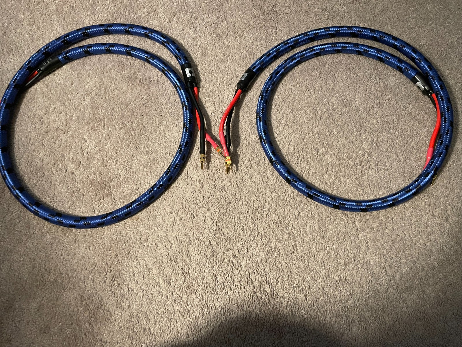 Beautiful pair of 6 ft Luminous Audio Synchestra Signature speaker cables 