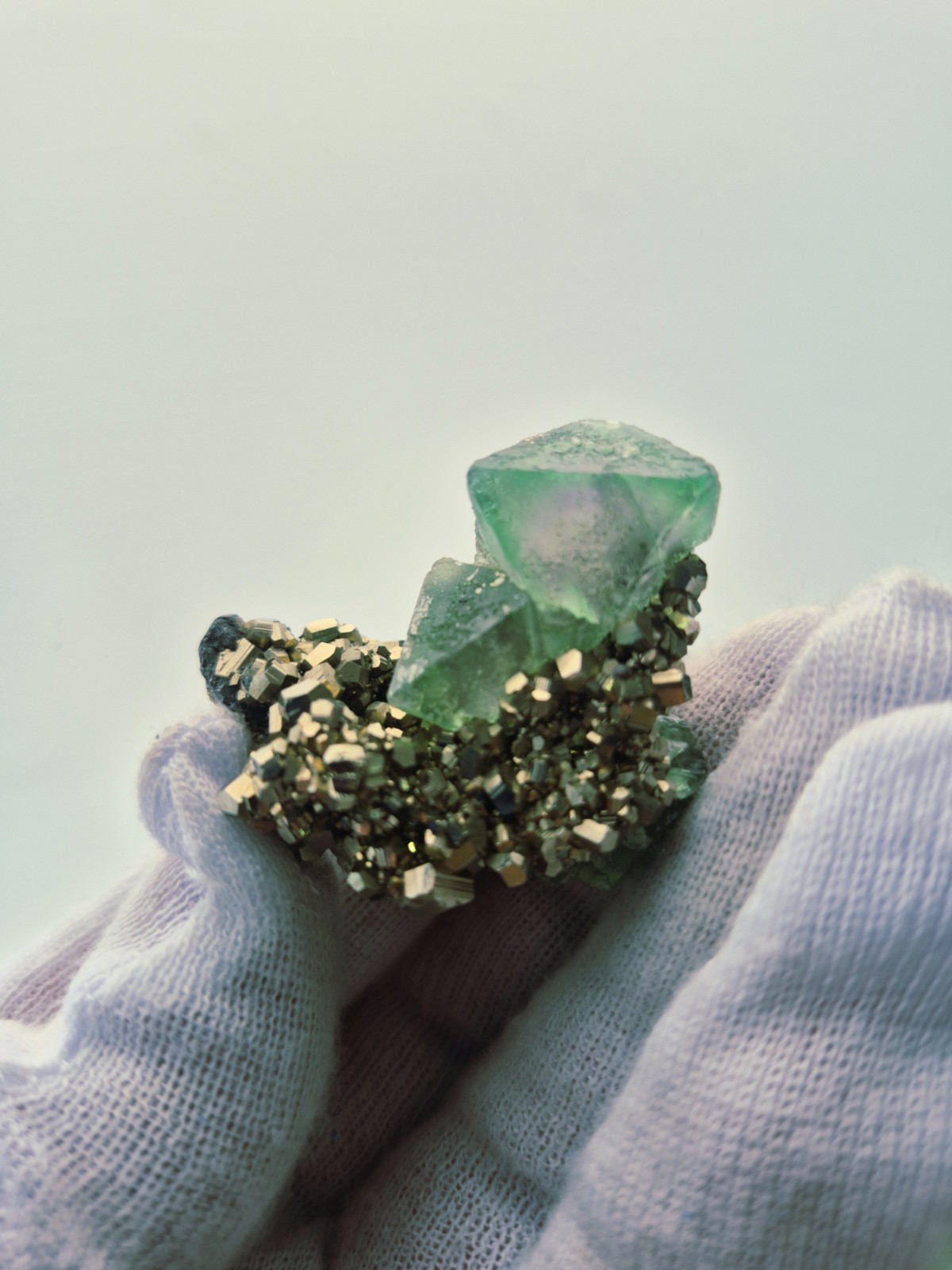 Green Flourite Octahedral with Pyrite Specimen from Mine Milpo Perú Flourite.