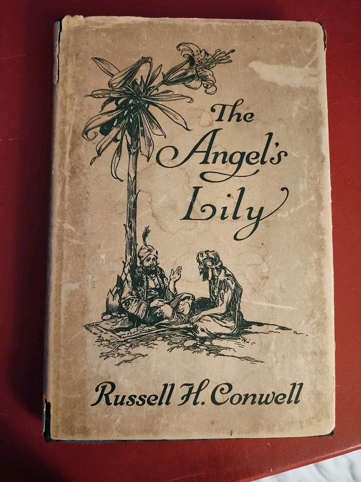 The Angel\'s Lily